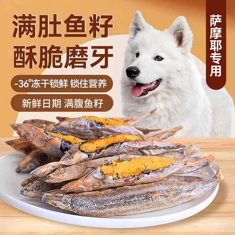 速发萨耶摩狗零食新鲜多春鱼冻干增肥发腮满籽犬牙成幼磨小鱼干