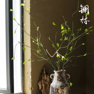 速发花嫩绿芽小叶藤蔓藤条装饰花卉插花可弯曲造型嫩枝绿植枝