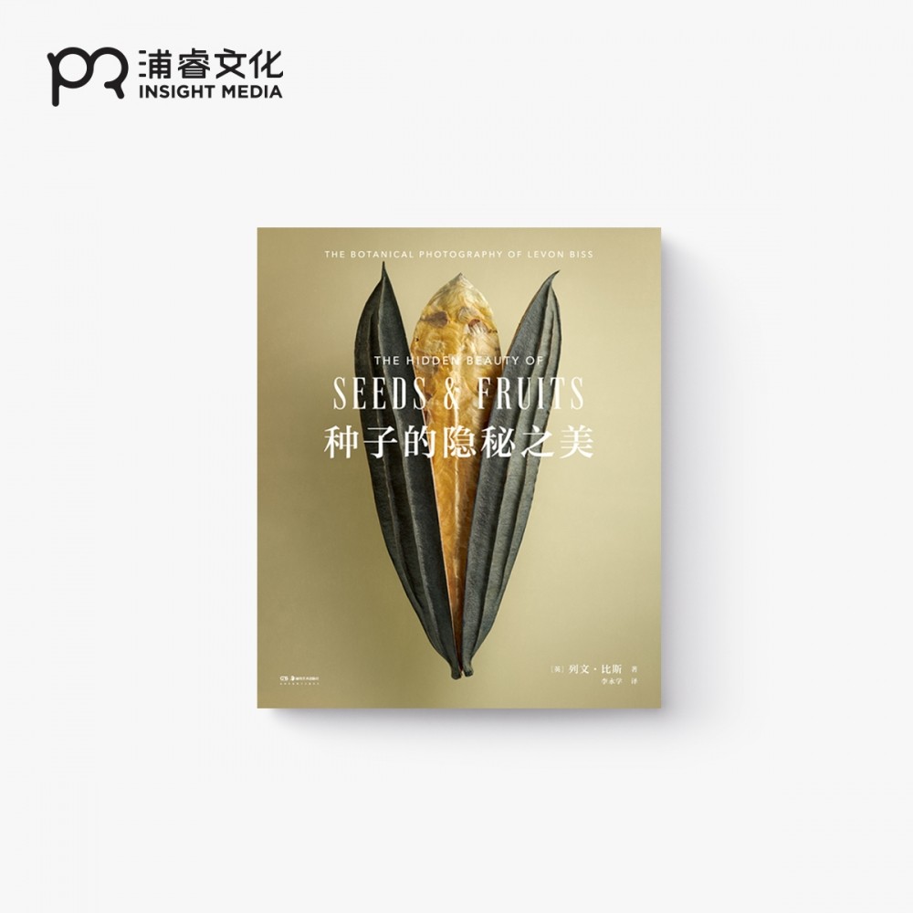 精装浦睿文化艺术摄影