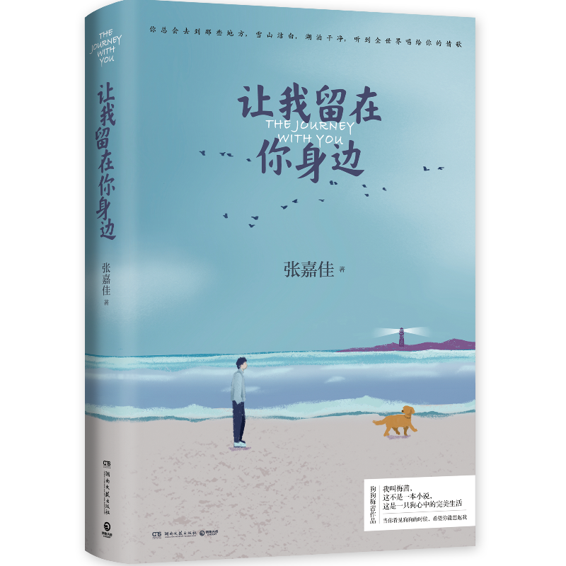 【赠明信片】让我留在你身边 张青春/都市/言情/轻
