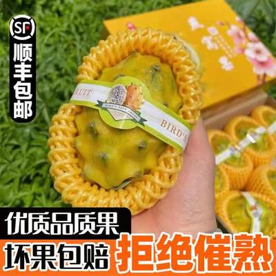 海南麒麟果燕窝果大果黄皮火龙果新鲜甜膳食纤维孕妇热带奢侈水果