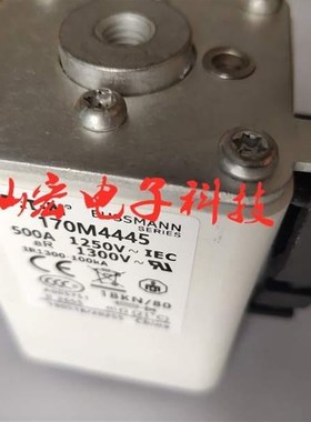 极速高压/低e压熔断器170M7028 170M3975 170M2011