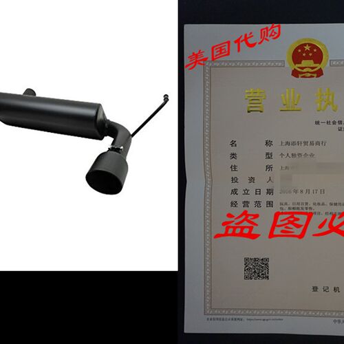 极速Gibson Performancqe Exhaust 17303-B BLK Split Rear Dual