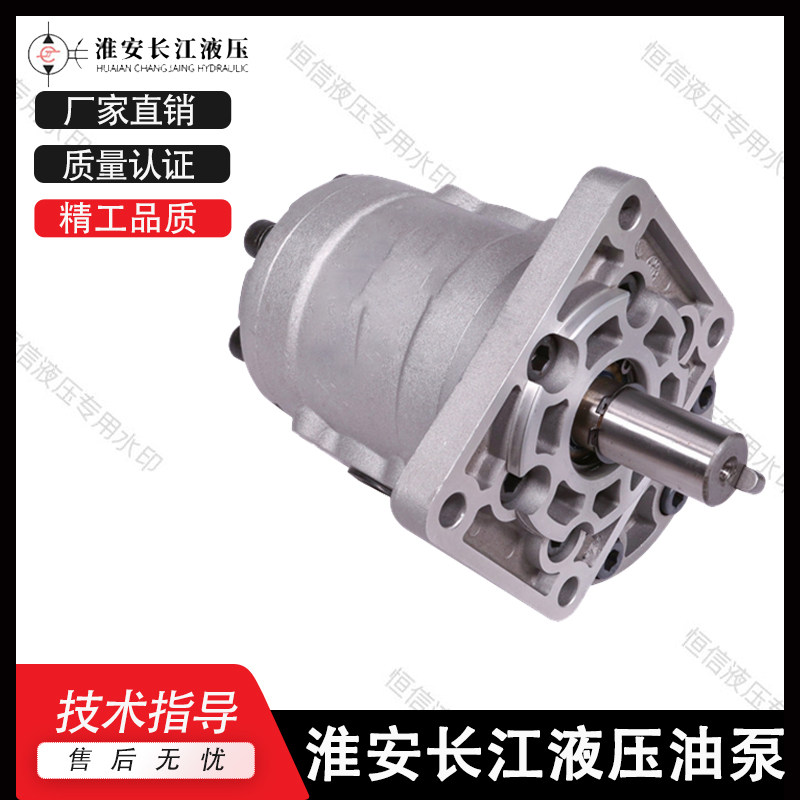 极速新品淮安长江齿轮j泵CBTl-F525/F532/F540/F550/F563 精装液