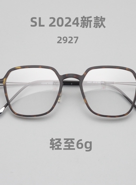 6g无螺丝眼镜时尚多边形超轻眼镜可配近视复古个性简约眼镜2927