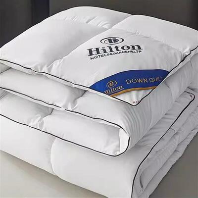 速发Winter+Warm+Duvet+Blanket+Quilt+酒店羽丝绒被子春秋加厚冬