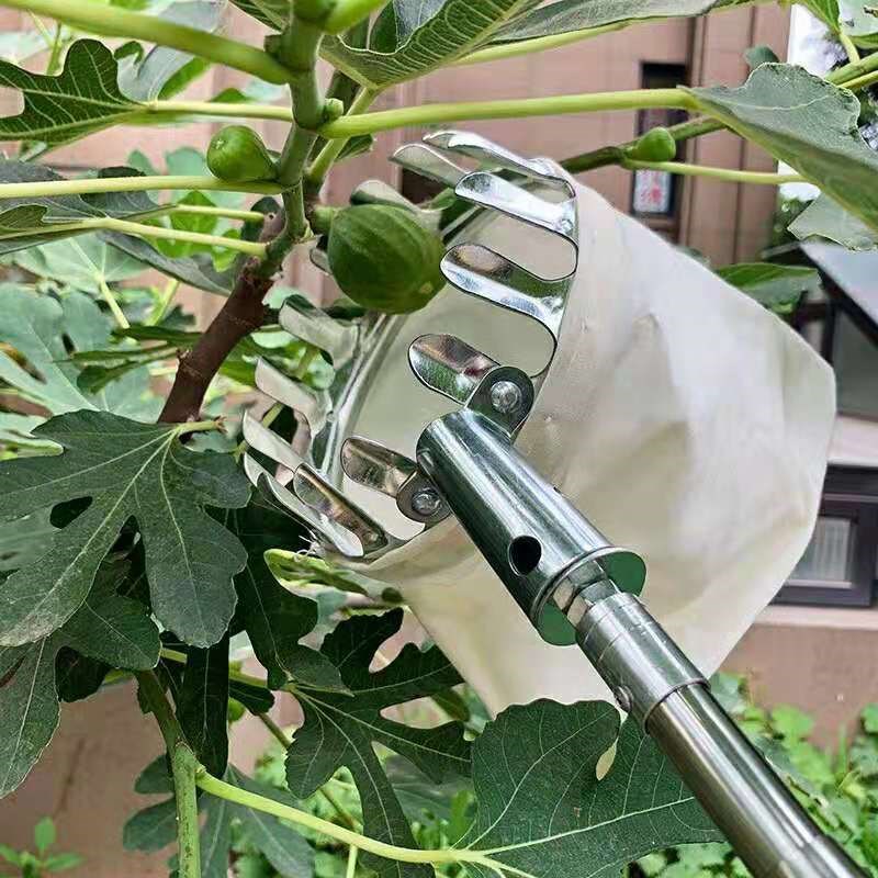 速发高空摘果神杆杨梅采摘伸不器柿子杨桃钩子可缩锈钢杆香椿