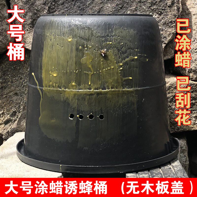 速发诱蜂桶黑色塑料桶招收蜂笼挑桶水外捕捉养蜂蜂桶引蜜箱中