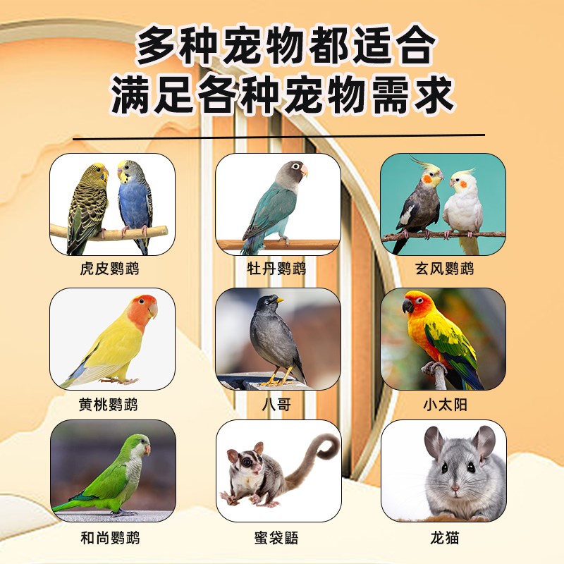 速发鹦鹉鸟用饮水器鸟喝水大中小型鹦鹉撞针水壶芦丁鸡自动喂水器