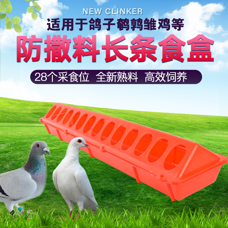 速发鸽子鹌食用品用具食槽信料喂食器饲鸽槽粮食仓鹑盒防撒赛鸽食