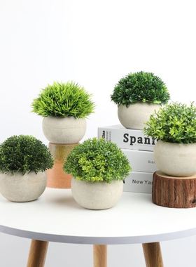 新品仿真绿植桌面绿植p迷你盆栽仿真摆件仿真花小盆景北欧假花盆
