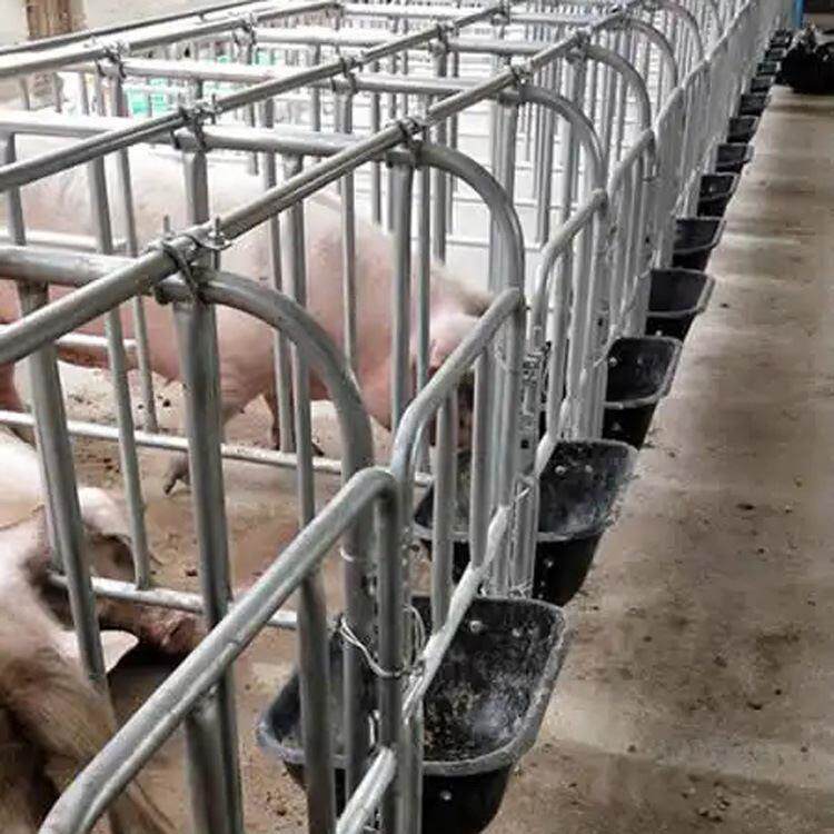 母猪复合限位栏 养殖猪用围栏 母猪落地式定位栏