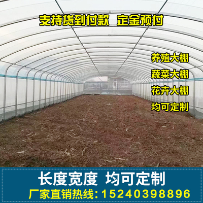 极速新品大棚b全套养殖猪舍温室养鸡C场鸭椭圆管T骨架牛棚钢管羊