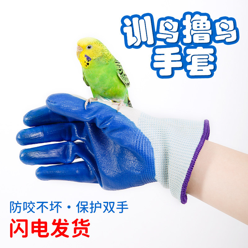 极速手养鹦鹉防咬手套宠物抓鸟放飞手套鹦鹉训练鸟防Y护手套鸟配,宠物/宠物食品及用品,鸟禽其他,淘宝优惠券,粉丝福利购,淘宝优惠卷