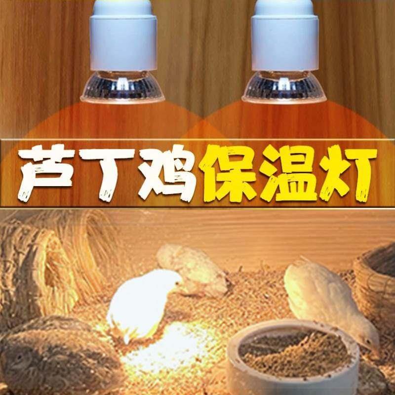 极速芦丁鸡恒温灯自动智能温控器保温灯取暖灯饲养箱X灯加温加热