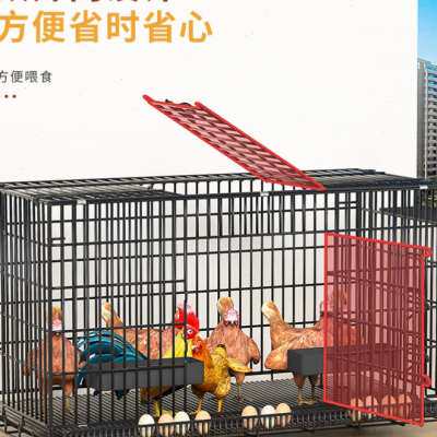 极速农村养鸡笼专l业养鸡笼鸡笼加厚加密楼顶养鸡笼阳台无臭养鸡