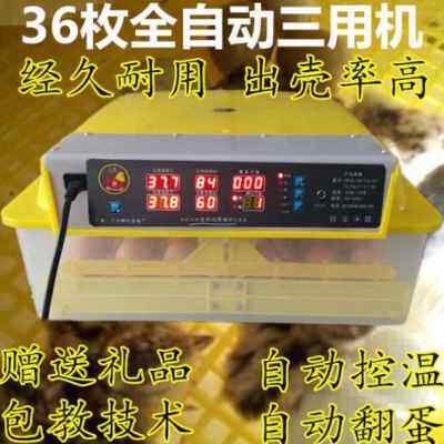 极速新品设备肉孵化机鸽蛋箱x鸭卵家用小型暖机孵卵鸡鹅化化化机
