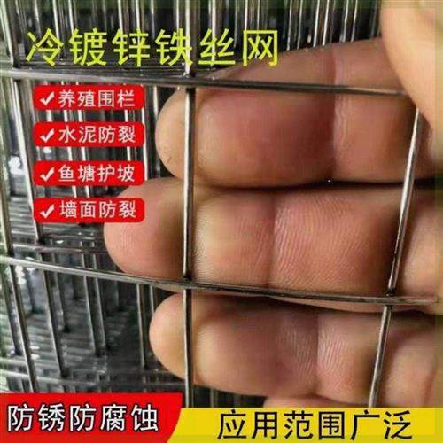 极速镀锌电d焊网养殖网防鼠网钢丝隔离网片护栏网格网玉米网铁网