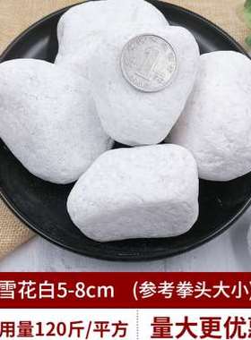 极速新款鹅卵石铺地5p0斤白色水子石头大庭院J铺路小白石头园林枯