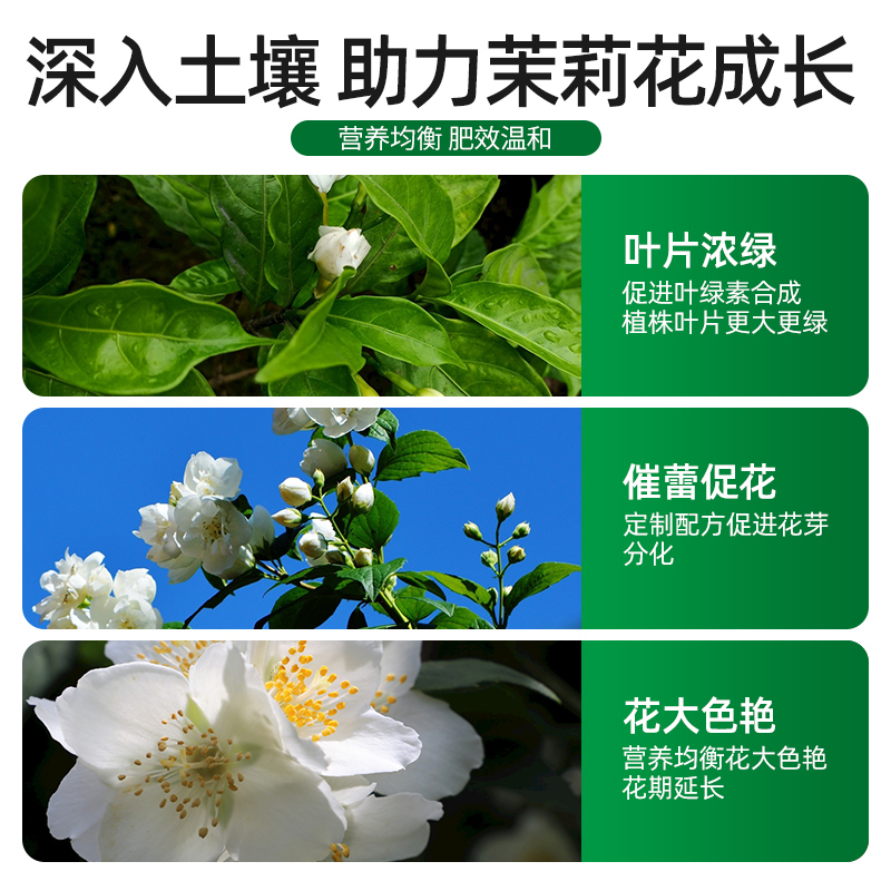 极速茉莉花专用浓缩营养液t酸性家用养花肥料盆栽茉莉花栀子花通