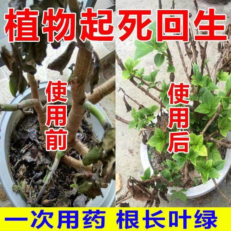 极速大树成活营养液死树复活生根液大树小苗O营养液枯树烂根烂苗
