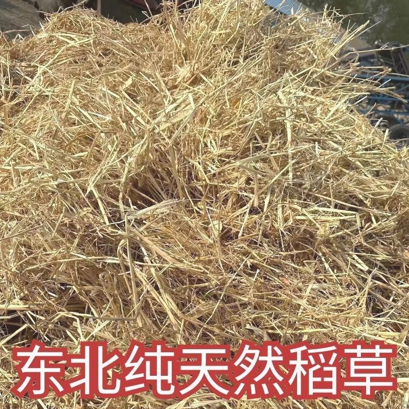 极速稻草垫窝保暖干净干燥东北新C稻草纤维草窝兔子床垫普通稻草