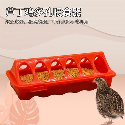 极速芦丁鸡喂食器饲料盒小鸡喂水器水F壶鹌鹑雏鸡食盒卢丁鸡喝水