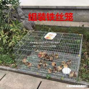 鸽子笼兔笼养鹅笼鸡笼铁丝网片装组装兔笼家用大号养殖笼鸟运输笼