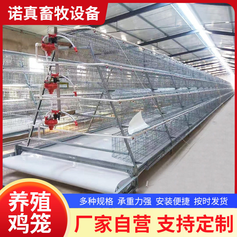 特大号镀锌铁丝蛋鸡笼