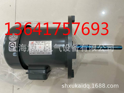 新生精技 EEV-GP 380V 1.89KW 高温电机SHING SENG 新生精技工业