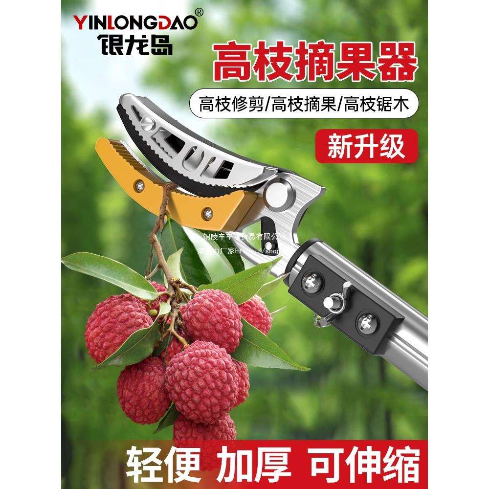 摘酸枣采摘水果荔枝芒果龙眼伸缩杆高空剪果树修剪高枝剪