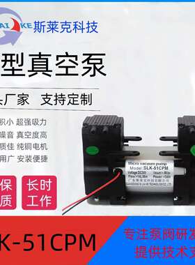 微型真空泵-51CPM隔膜直流双头泵 220V增压静音电动气泵抽气泵