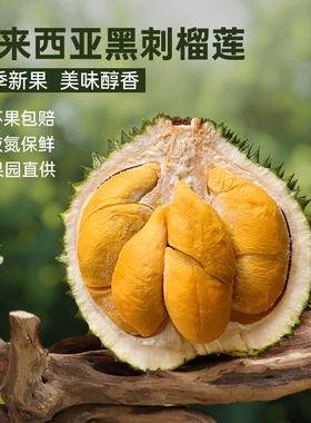 都念D200黑刺正宗树熟榴莲马来西亚进口冷冻液氮带壳水果顺丰包邮