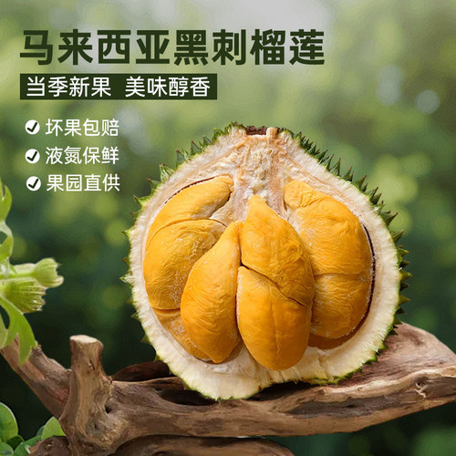 都念马来西亚榴莲黑刺D200