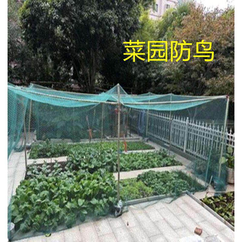 热销防鸟网山鸡网尼龙养殖x网围栏网菜园网拦鸡网果园防鸟网