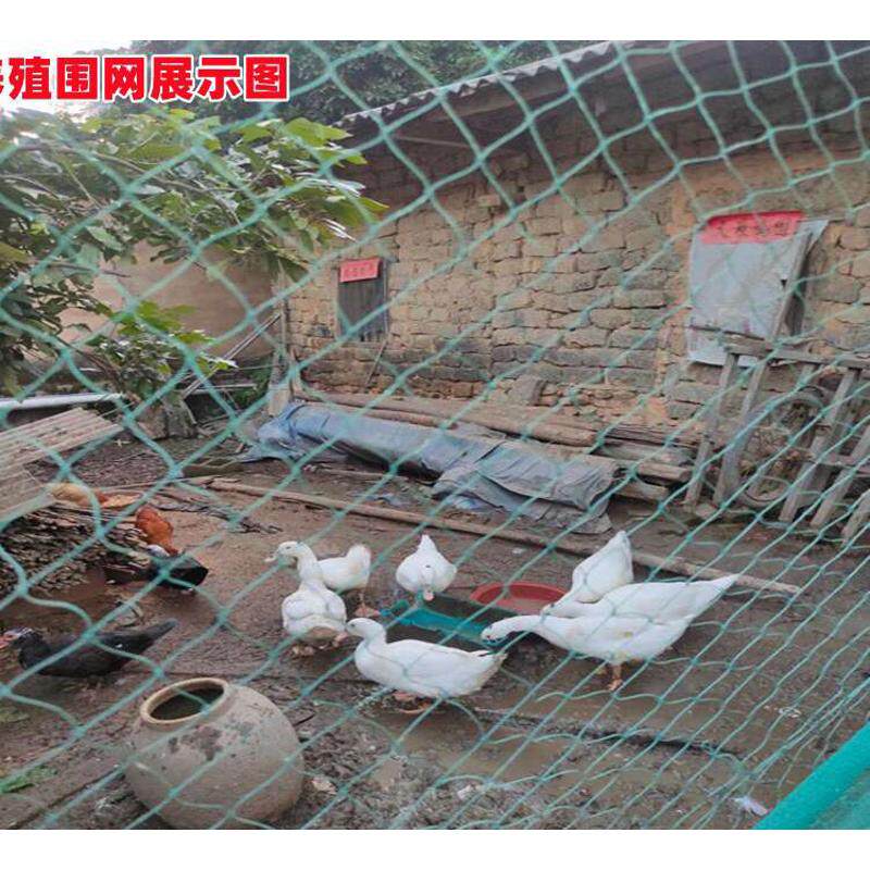 热销防鸟网山g鸡网尼龙养殖网围栏网菜园网拦鸡网果园防鸟网