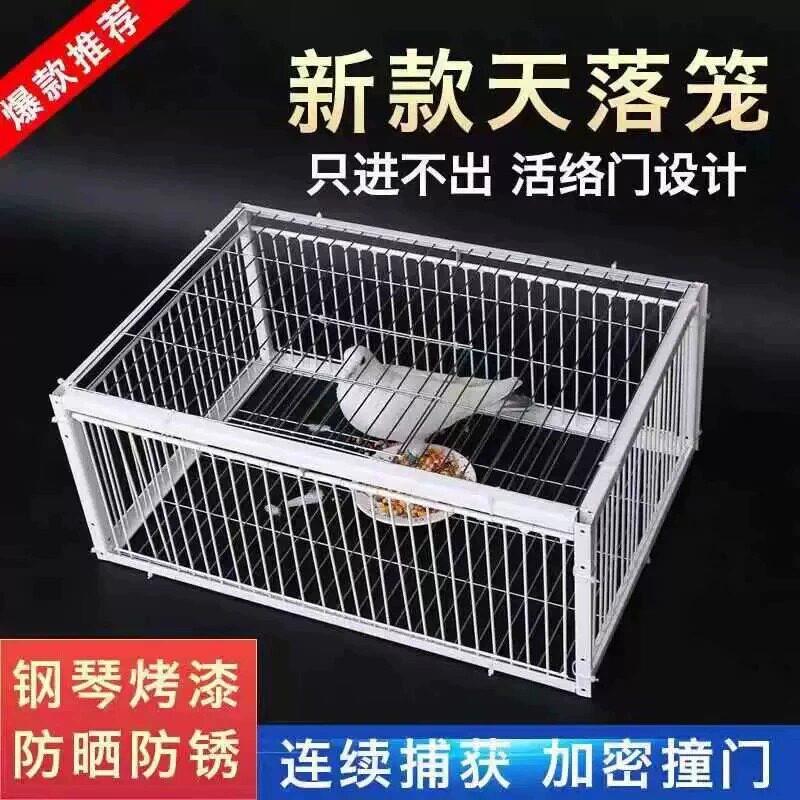 热销天落笼鸽子笼鸽子活络门只进不出撞门鸽笼铁T笼跳笼自动门神图片