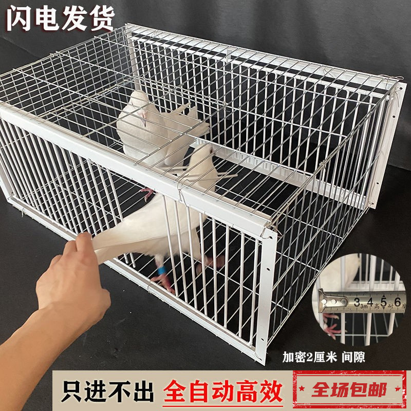 热销天落笼加密只进不出鸽子笼鸽C子活络撞门笼自动收鸽鸽子笼鸽图片