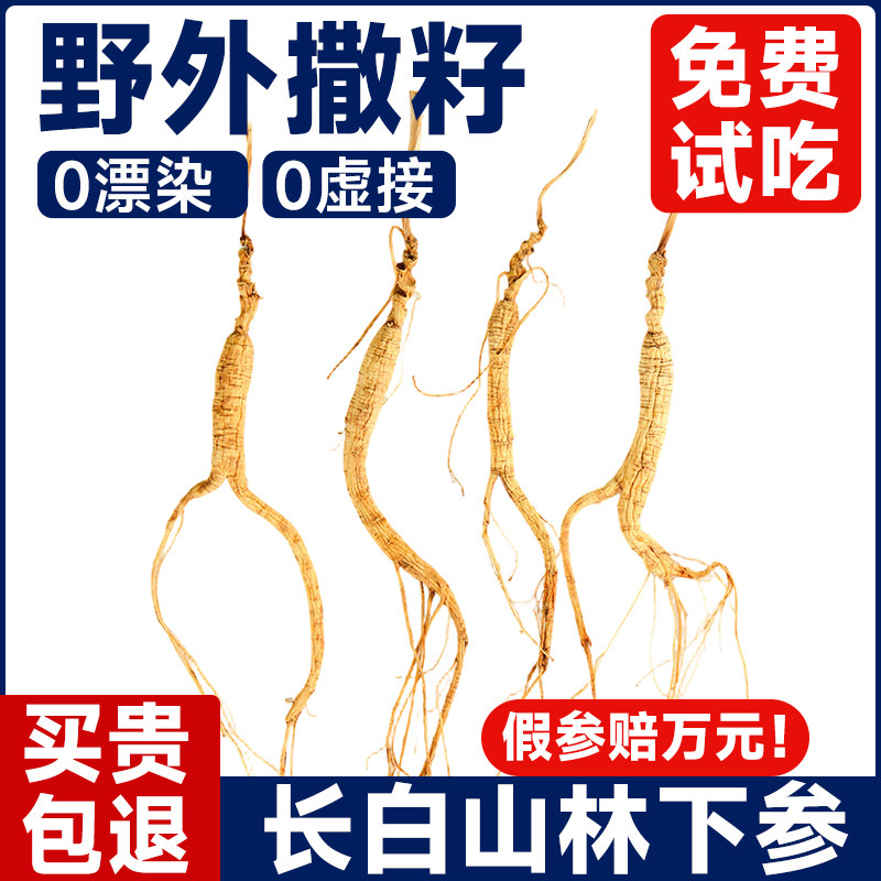 正宗东北老山参长白山人参林下参礼盒正品野生状态下生长12年20克