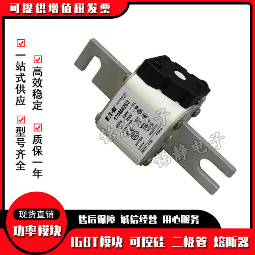 170M4831170M4832巴斯曼熔断器170M4833型号齐全170M4834现货
