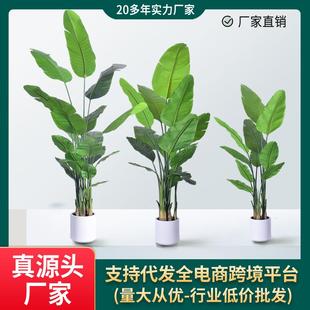 仿真绿植高级感客厅旅人蕉仿真植物带仿陶瓷白盆客厅装饰落地摆件
