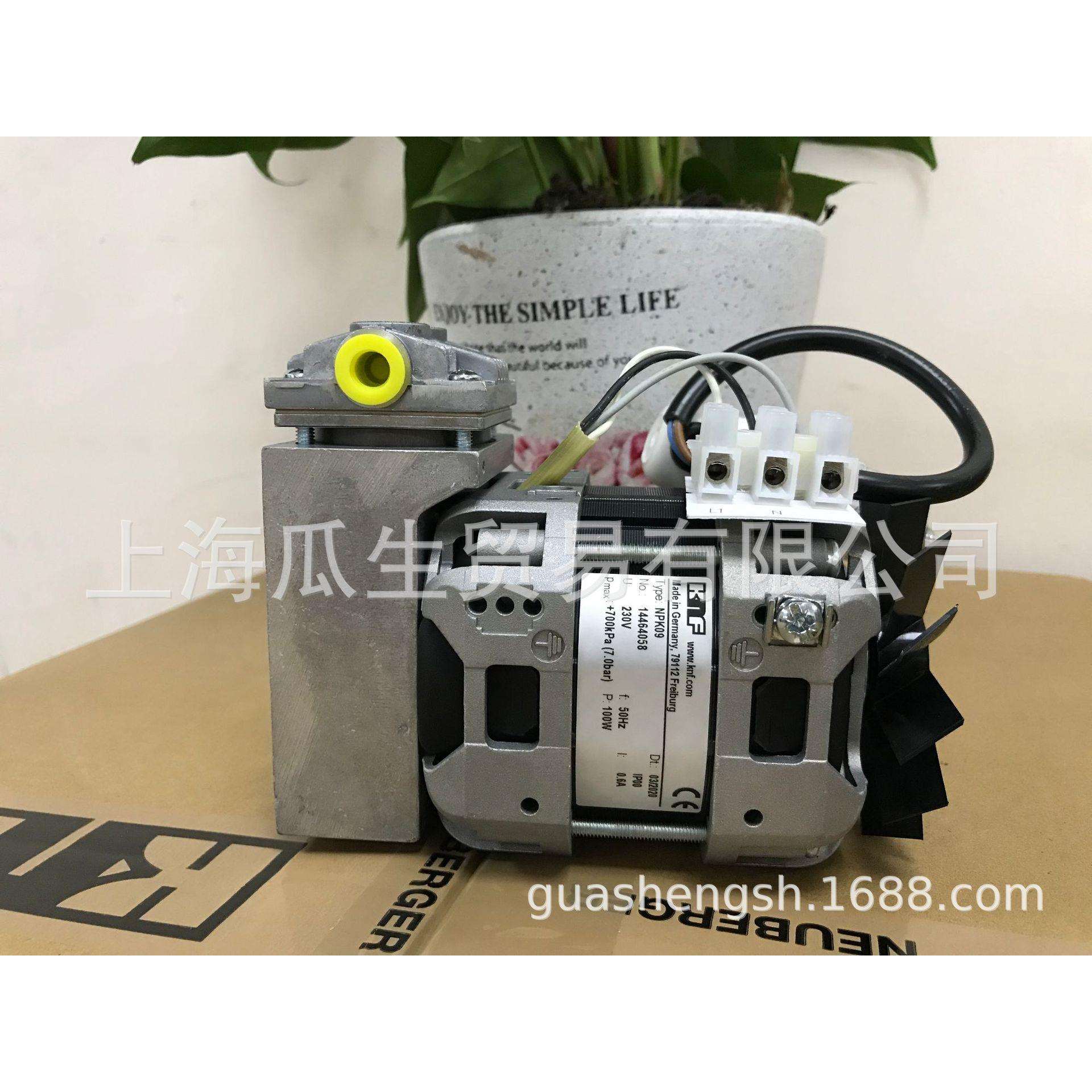 德国KNF原装进口活塞泵NPK09AC