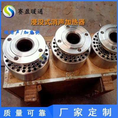 供应不锈钢涡旋式消声加热器不锈钢304/316L浸没式消声加热器