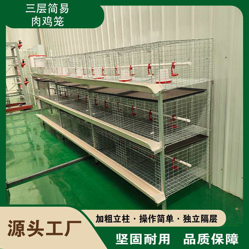 养鸡设备养鸡笼三层立式肉鸡笼立体蛋鸡笼全自动蛋鸡养殖笼子机械