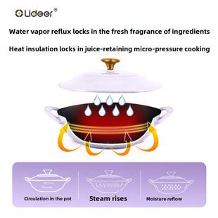 林德尔搪瓷锅铸铁双耳小锅一人食锅锅家用不粘锅铁锅电磁炉