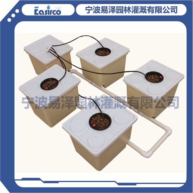 5桶荷兰桶水培育苗箱 阳台种菜 无土栽培种植箱