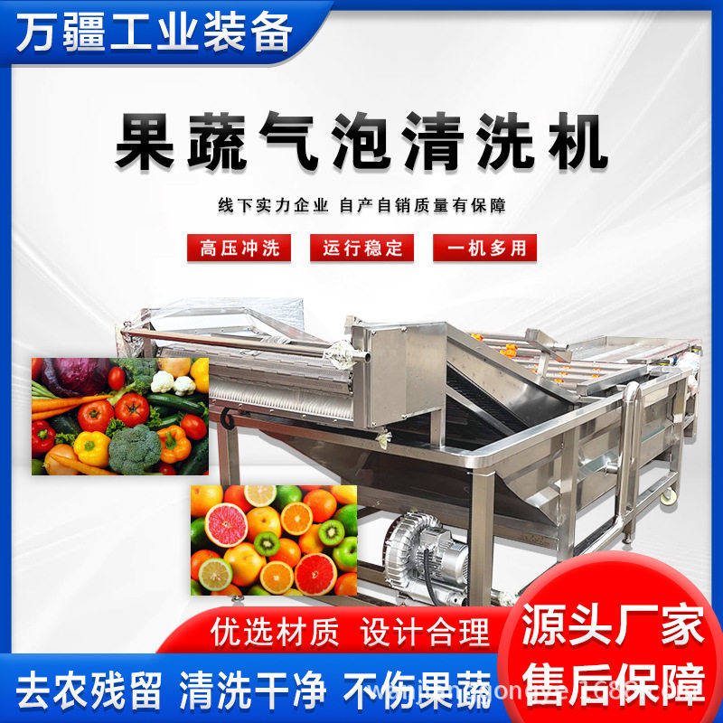 水果蔬菜气泡清洗机菠菜臭氧清洗流水线净菜加工去农残清洗设备