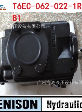 T6EC-062-022-1R00-B1 叶片泵克令吊吊钩液压泵
