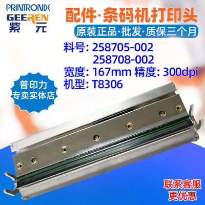 Printronix普印力T8000 T8306打印头300 258705-002 258357-001头