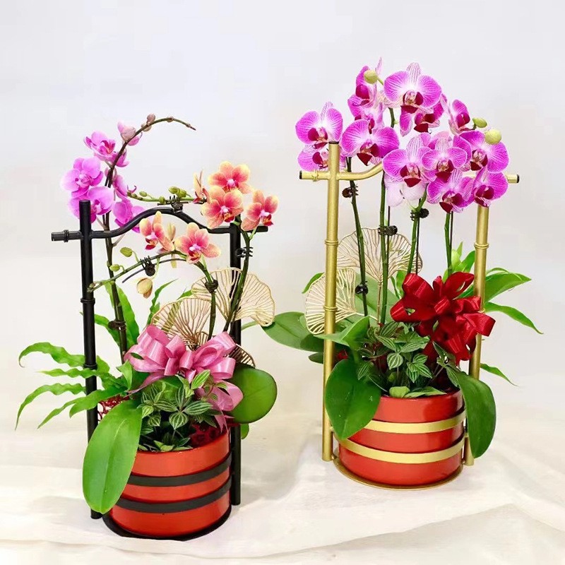新中式金属红色铁艺客厅花盆冬青蝴蝶兰银柳年宵花插花花器花篮